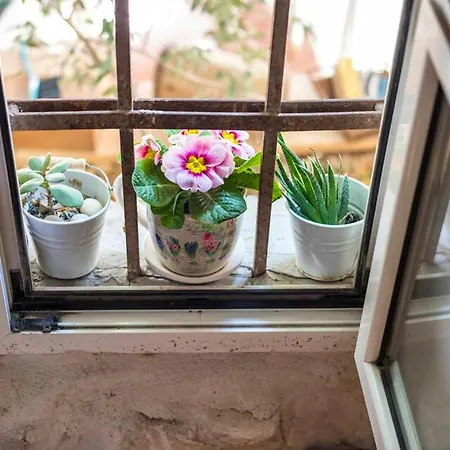 Semesterbostad One Bedroom Property With Wifi At Split